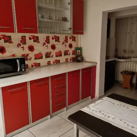 Apartament Apartament Andreea *